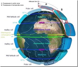 Trade wind in Lanzarote