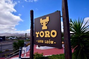 Toro Puerto del Carmen