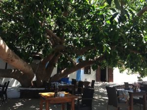 La Bodega de Santiago