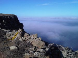 Panza de burro Lanzarote
