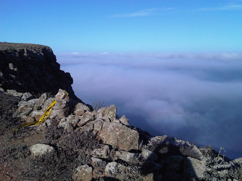 Panza de burro Lanzarote