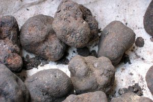 Lanzarote Truffles