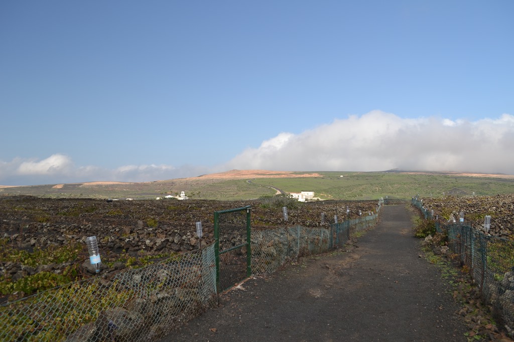 Dirt Track To Monte Corona