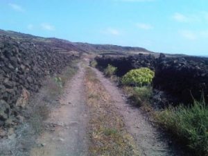  Home » Blogs » Jules's blog Geocache Walk, Cueva del Agua