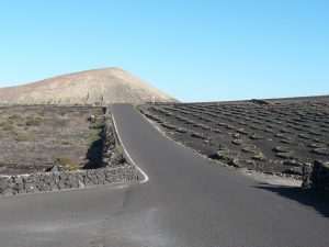 Cycling in Lanzarote , Arrecife Loop