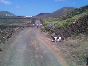  Home » Blogs » Jules's blog Geocache Walk, Cueva del Agua