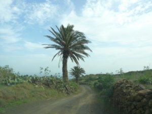 Lanzarote Walk, Maguez