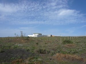 Lanzarote Walk, Maguez