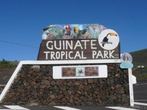 Lanzarote Walk, Maguez