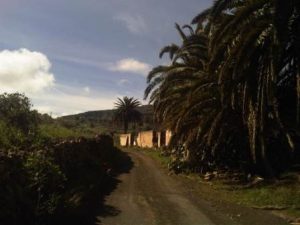 Walk The Malpaso Way in Haria