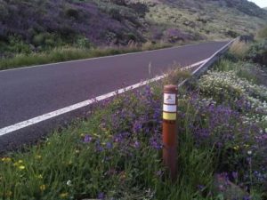 Walk The Malpaso Way in Haria