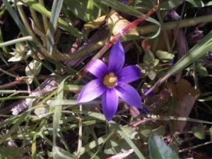 Walk The Malpaso Way in Haria