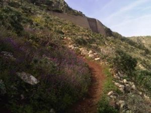 Walk The Malpaso Way in Haria