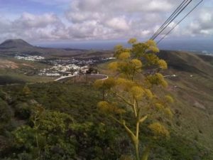 Walk The Malpaso Way in Haria