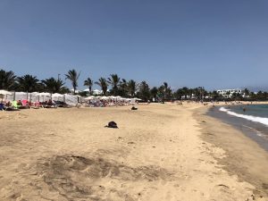 Playa Las Cucharas Costa Teguise