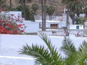 Canarian Houses