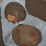 Fossil eggs