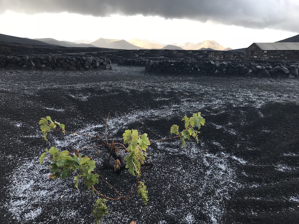 Hail Lanzarote