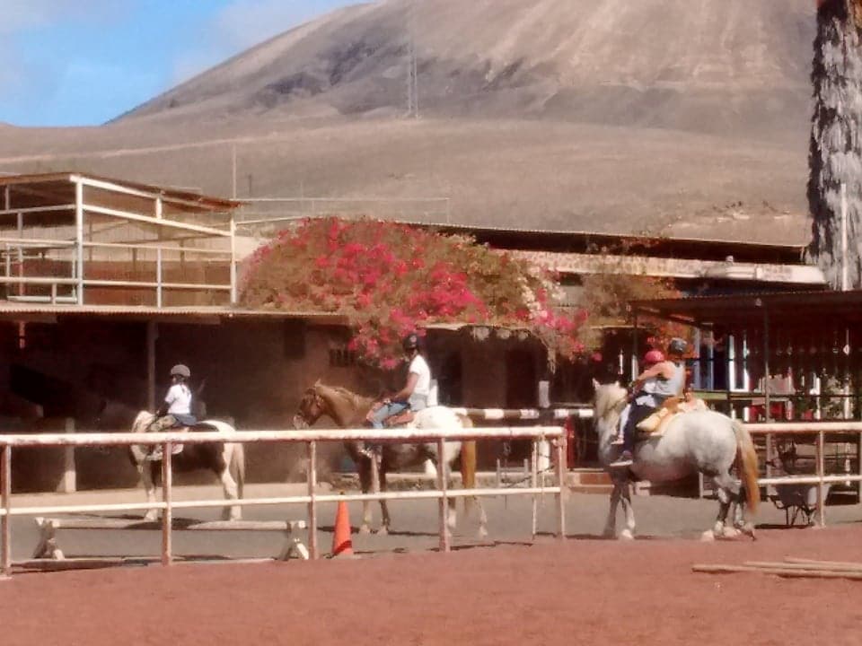 Lanzarote a Caballo