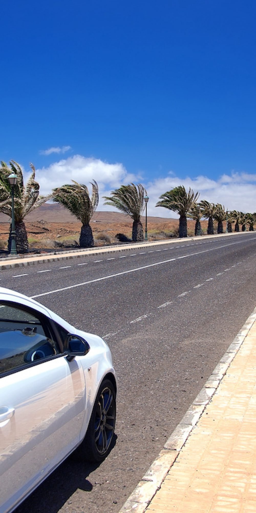 Modern style car on asphalt road through the palm alley in the southern village. Strong wind, white clouds on a blue sky. Lanzarote, Canary Islands, Spain